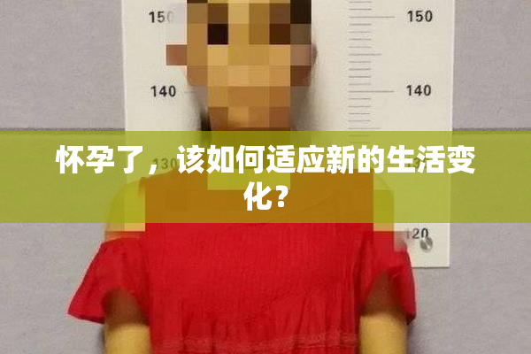 怀孕了，该如何适应新的生活变化？