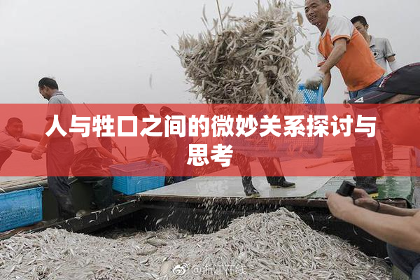 人与牲口之间的微妙关系探讨与思考
