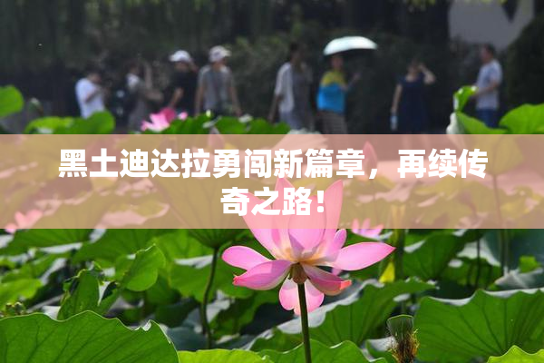 黑土迪达拉勇闯新篇章，再续传奇之路！