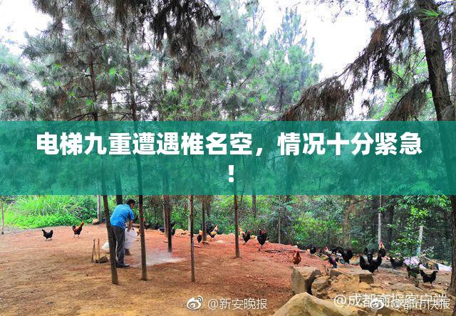 电梯九重遭遇椎名空，情况十分紧急！