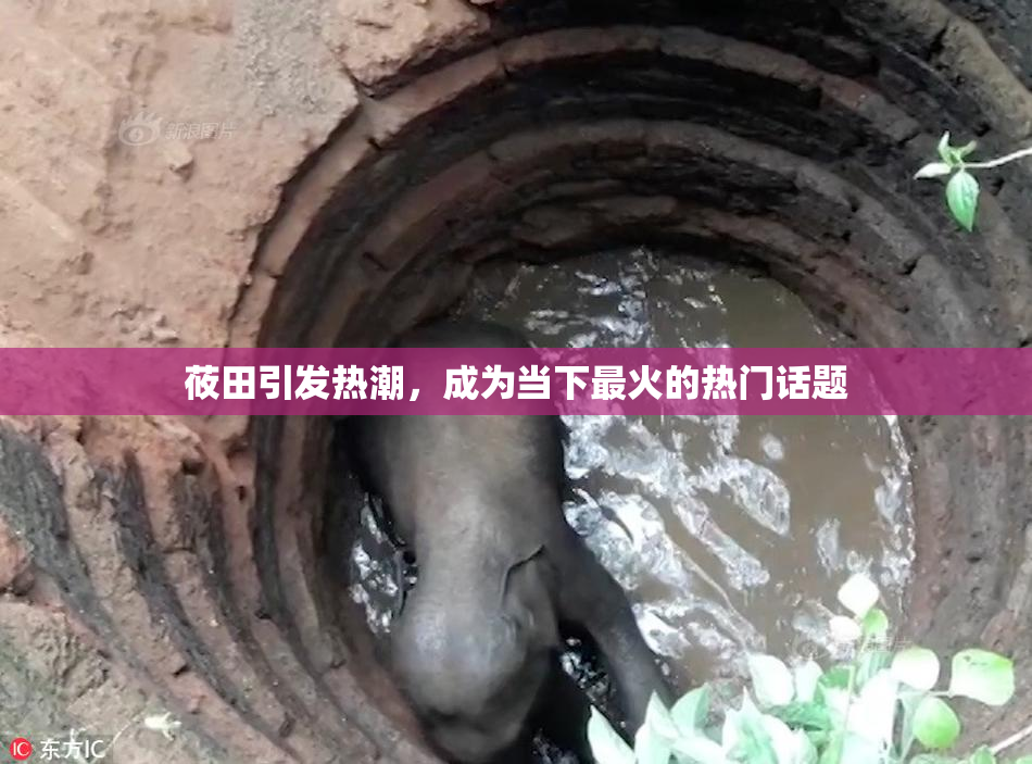 莜田引发热潮，成为当下最火的热门话题