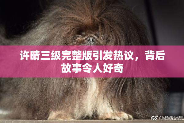 许晴三级完整版引发热议，背后故事令人好奇