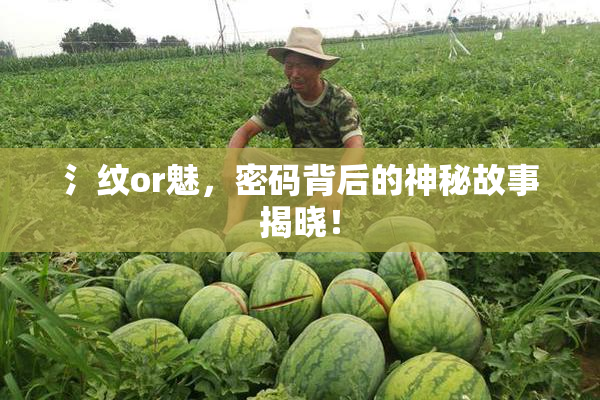 氵纹or魅，密码背后的神秘故事揭晓！