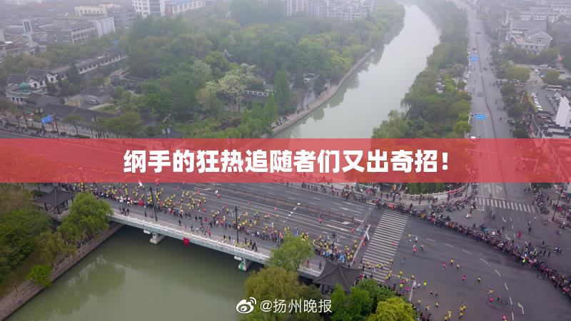 纲手的狂热追随者们又出奇招！