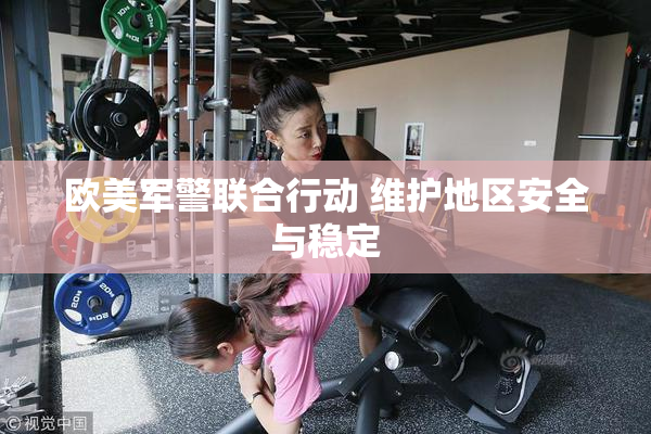 欧美军警联合行动 维护地区安全与稳定