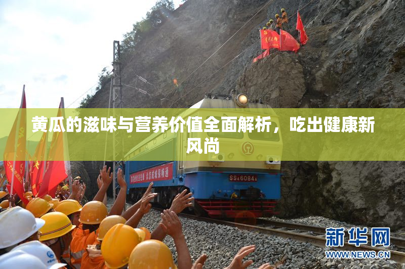 黄瓜的滋味与营养价值全面解析，吃出健康新风尚