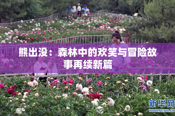 熊出没：森林中的欢笑与冒险故事再续新篇