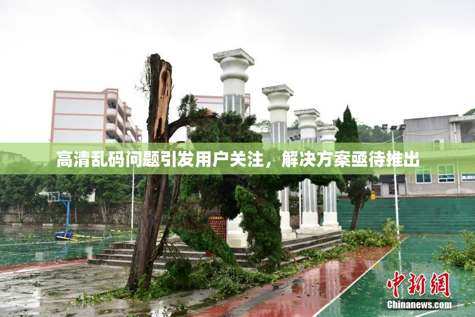 高清乱码问题引发用户关注，解决方案亟待推出