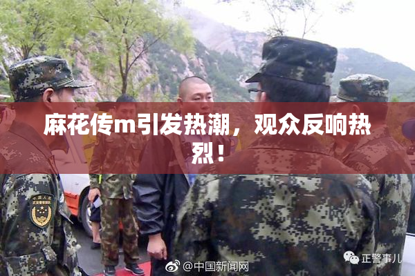 麻花传m引发热潮，观众反响热烈！
