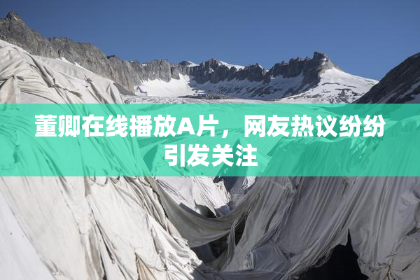 董卿在线播放A片，网友热议纷纷引发关注