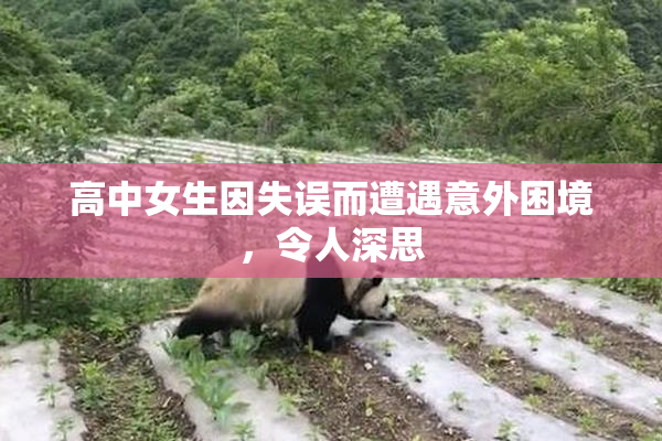 高中女生因失误而遭遇意外困境，令人深思