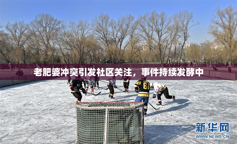 老肥婆冲突引发社区关注，事件持续发酵中