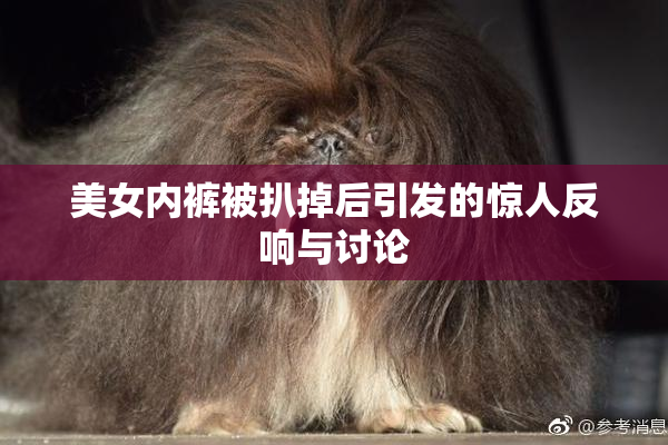 美女内裤被扒掉后引发的惊人反响与讨论