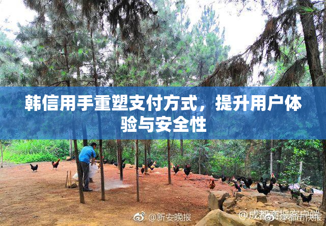 韩信用手重塑支付方式，提升用户体验与安全性