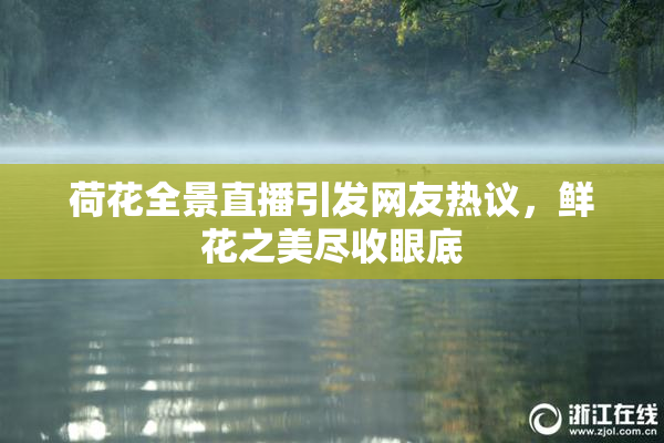 荷花全景直播引发网友热议，鲜花之美尽收眼底