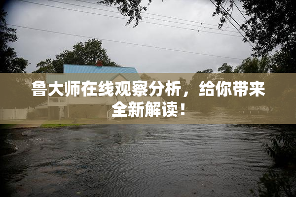 鲁大师在线观察分析，给你带来全新解读！