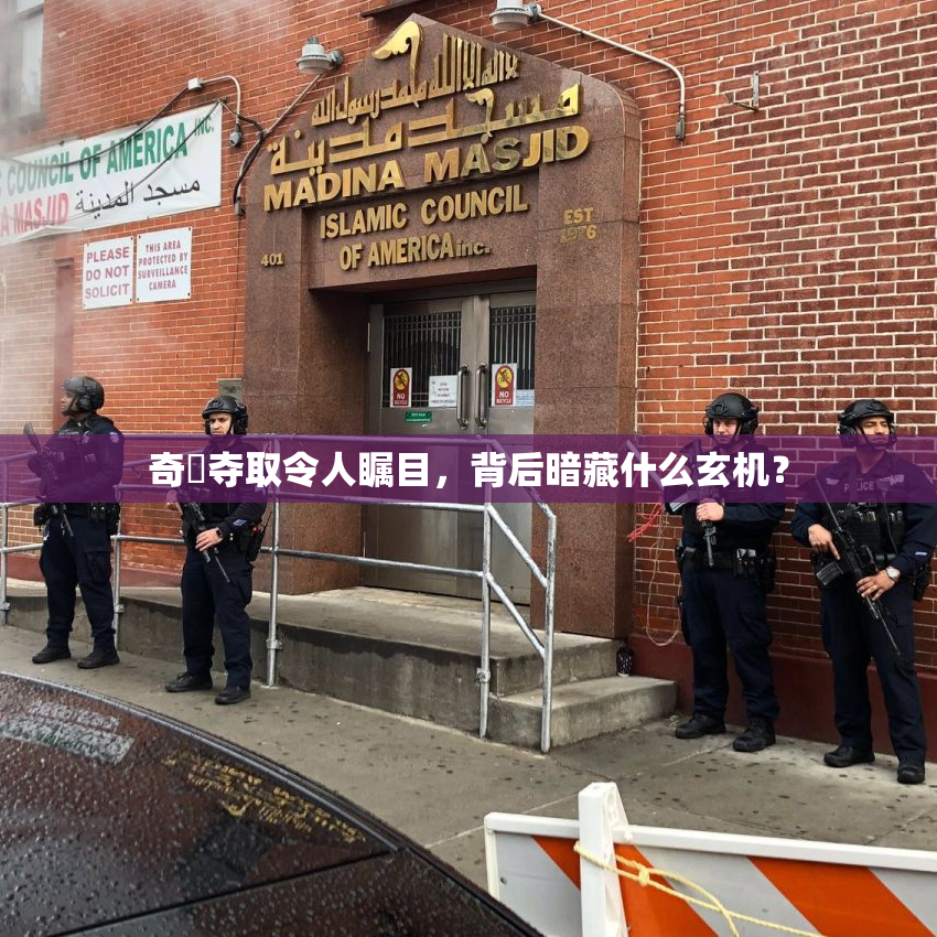 奇犽夺取令人瞩目，背后暗藏什么玄机？