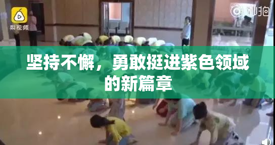 坚持不懈，勇敢挺进紫色领域的新篇章
