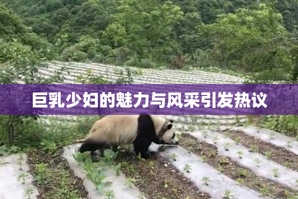 巨乳少妇的魅力与风采引发热议
