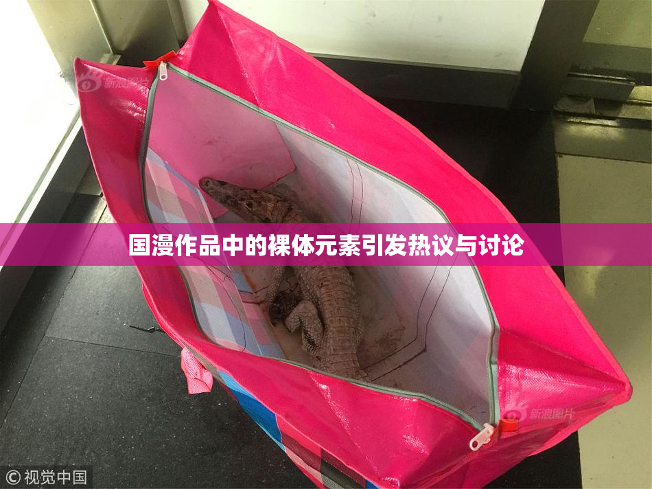 国漫作品中的裸体元素引发热议与讨论