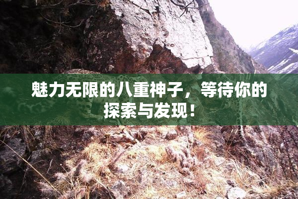魅力无限的八重神子，等待你的探索与发现！