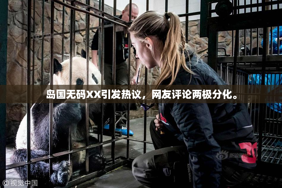 岛国无码XX引发热议，网友评论两极分化。