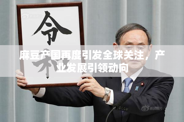 麻豆产国再度引发全球关注，产业发展引领动向