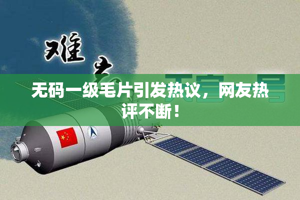 无码一级毛片引发热议，网友热评不断！