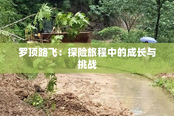 罗顶路飞：探险旅程中的成长与挑战