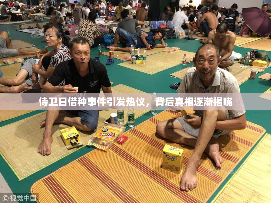 侍卫日借种事件引发热议，背后真相逐渐揭晓