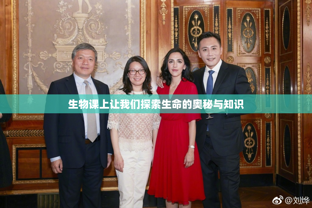 生物课上让我们探索生命的奥秘与知识