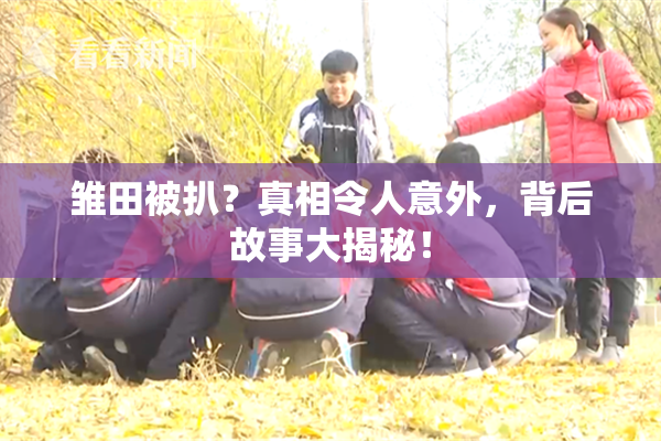 雏田被扒？真相令人意外，背后故事大揭秘！