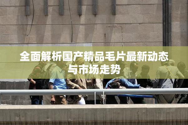 全面解析国产精品毛片最新动态与市场走势