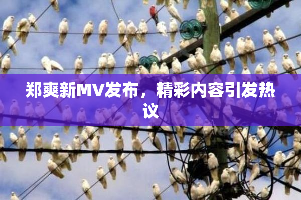 郑爽新MV发布，精彩内容引发热议