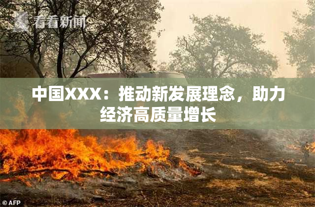 中国XXX：推动新发展理念，助力经济高质量增长