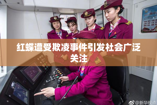 红蝶遭受欺凌事件引发社会广泛关注