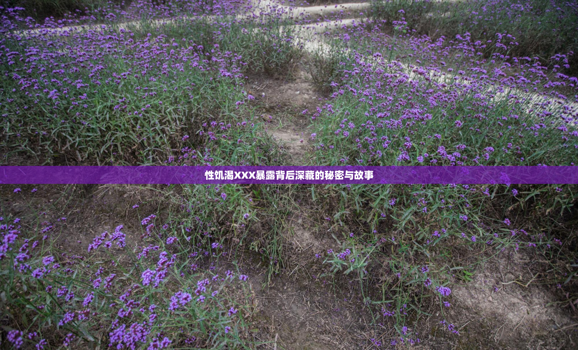 性饥渴XXX暴露背后深藏的秘密与故事