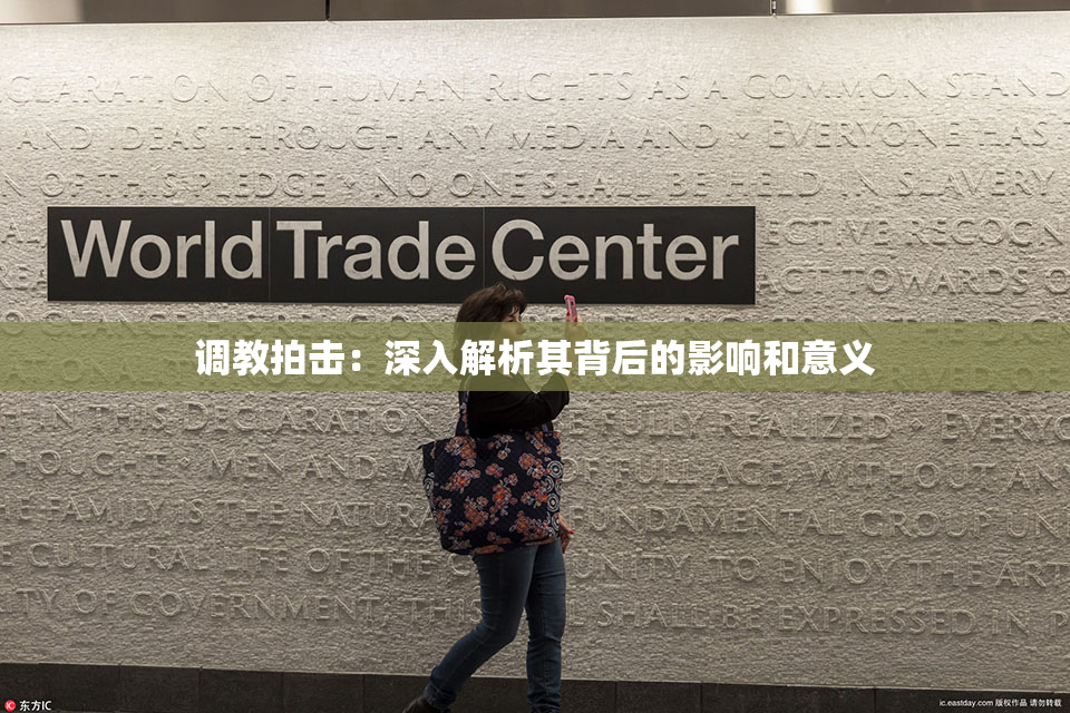 调教拍击：深入解析其背后的影响和意义