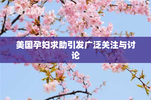 美国孕妇求助引发广泛关注与讨论