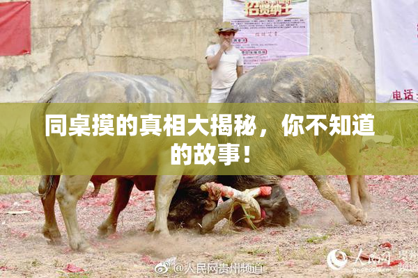 同桌摸的真相大揭秘，你不知道的故事！