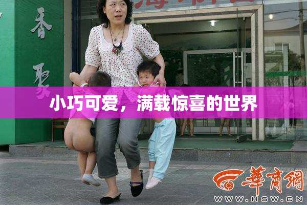 小巧可爱，满载惊喜的世界