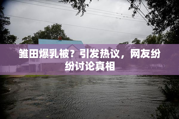 雏田爆乳被？引发热议，网友纷纷讨论真相