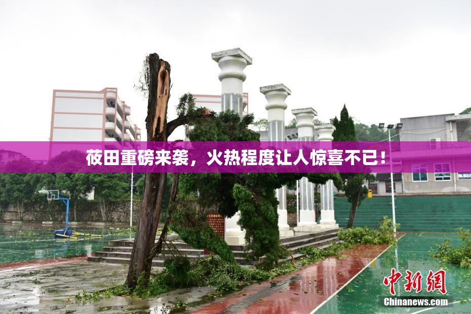莜田重磅来袭，火热程度让人惊喜不已！