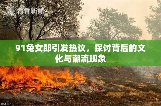 91兔女郎引发热议，探讨背后的文化与潮流现象