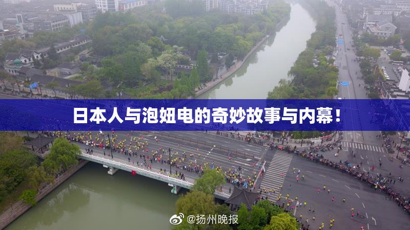 日本人与泡妞电的奇妙故事与内幕！