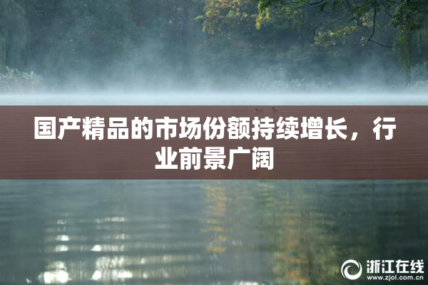 国产精品的市场份额持续增长，行业前景广阔