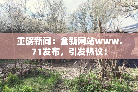 重磅新闻：全新网站www.71发布，引发热议！