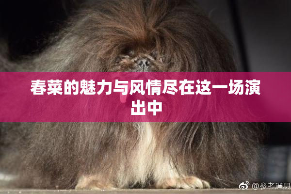 春菜的魅力与风情尽在这一场演出中