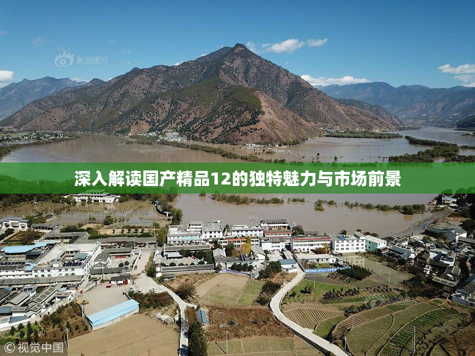 深入解读国产精品12的独特魅力与市场前景