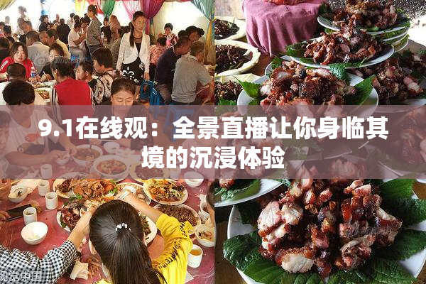 9.1在线观：全景直播让你身临其境的沉浸体验
